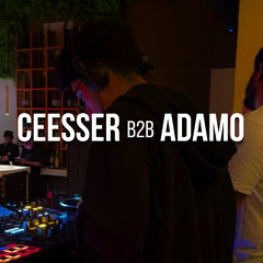 Ceesser B2B Adamo – House & Minimal Deep Tech Set