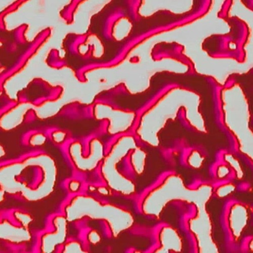 ECHO Rec. Radio | Gorilya