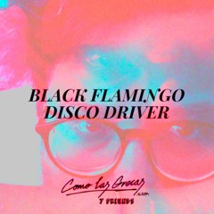 Black Flamingo Disco Driver / Como las Grecas Community