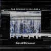 [PDCST222] - David Strasser DJ mix artwork - Electronic music tracklist cover image