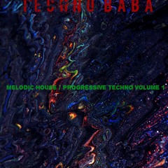 Melodic House & Techno Volume 1