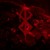 Artwork for [HPDCST001] Infernal Reckoning - BRZRKR
