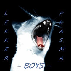 Lekker Plasma Boys Vol. 5