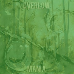 Overlow (Garage Demo)