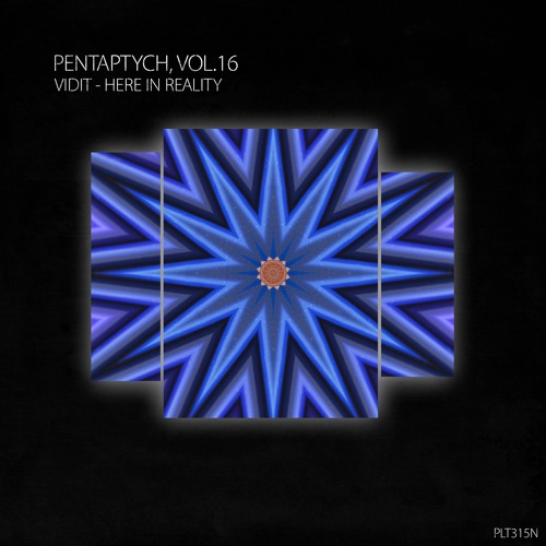 PREMIERE: VIDIT - Here In Reality (Extended Mix) [Polyptych Noir]