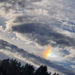 Organic Tribal Progressive Ecstatic Mix