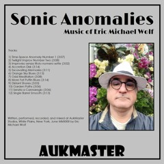 Sonic Anomalies