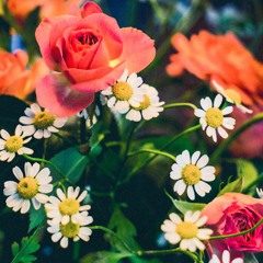 Neon Remix Feat.ZIDOK