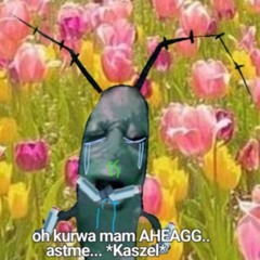 Przybiezeli Do Astmy