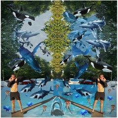 AQUATIC INTERLUDE