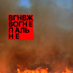 6. Вогнепальне