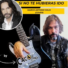 Si No Te Hubieras Ido (Marco Antonio Solis Cover)