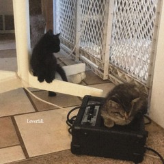Internet Postings
