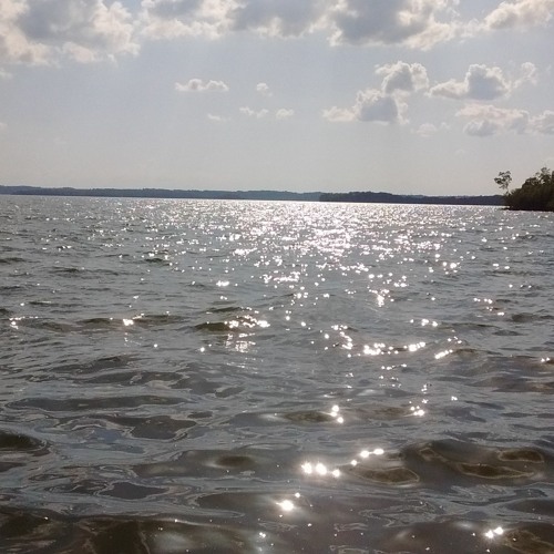 Solace Within The Storm