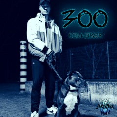 300 Follower, Danke ! [HARDTEKK]