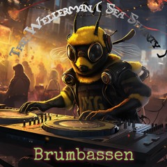 Wellerman (Sea Shanty)[Free download]