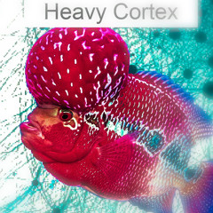 Hefty Cortex