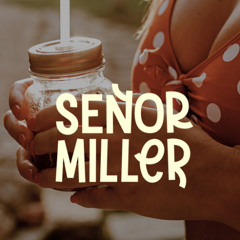 Summer Juice [LIVE MINI-MIX] ~ Sunset Peace of Mind with a Cocktail ~ SEÑOR MILLER