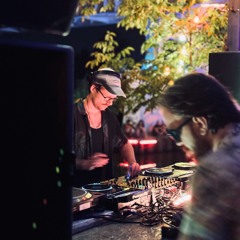 Felis Silvestris - Heavy Delay / 30.08.2024