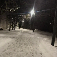 eternally winter