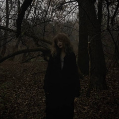 Fractured Reflection