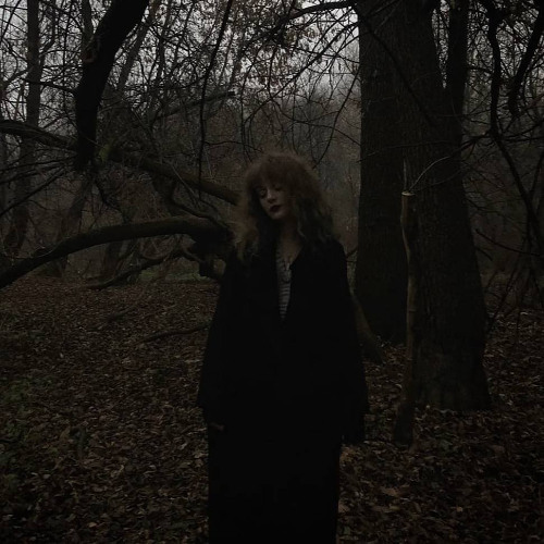 Fractured Reflection