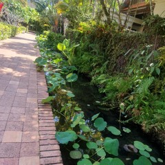 fasho***FSS Meo x JTM Polo