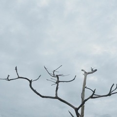 Feeling Ok - Covid Demo