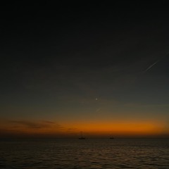 Lonelyflight