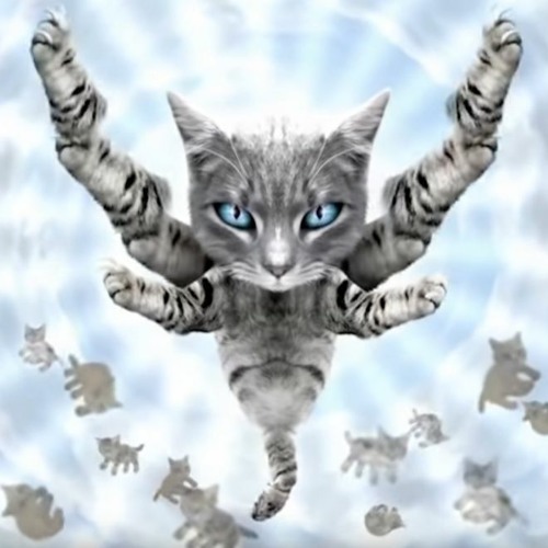 Nowhere2022 - 07 - 08