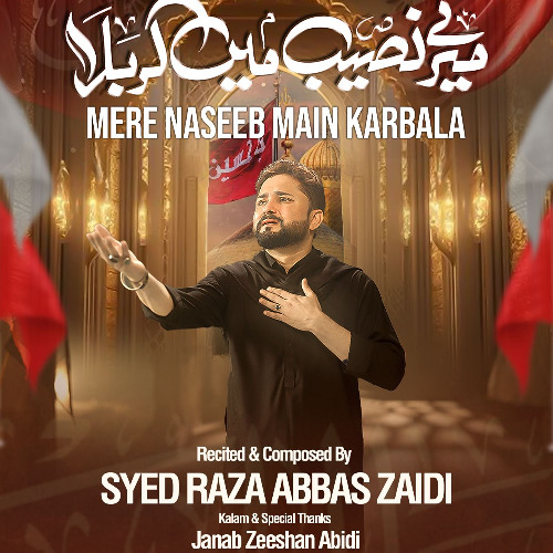 Mere Naseeb Main Karbala  --  Syed Raza Abbas Zaidi  --  2025