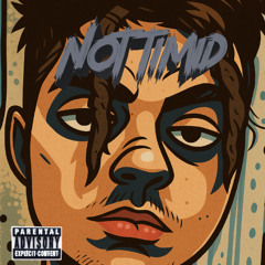 Not Timid