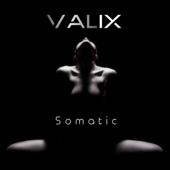 Somatic by Valix