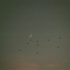 Money Tree - Peradise5 x DJFTP