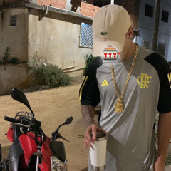 MEGA 001 - VOU PASSAR GELINHO NO SEU CORPO, DE COPÃO NA MÃO (DJ ERICK DO CR)