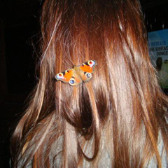 Schmetterling - remake