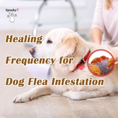 Healing Frequency for Dog Flea Infestation - Spooky2 Rife Frequencies