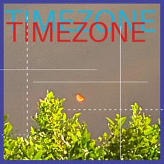 Timezone prod. Pink Puddle