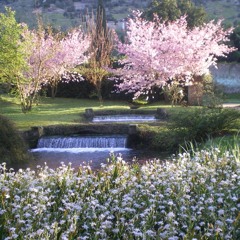 Beyonce - Sweet Dream Beautiful Piano