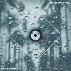 Echoes of the Wild [Pre-release]