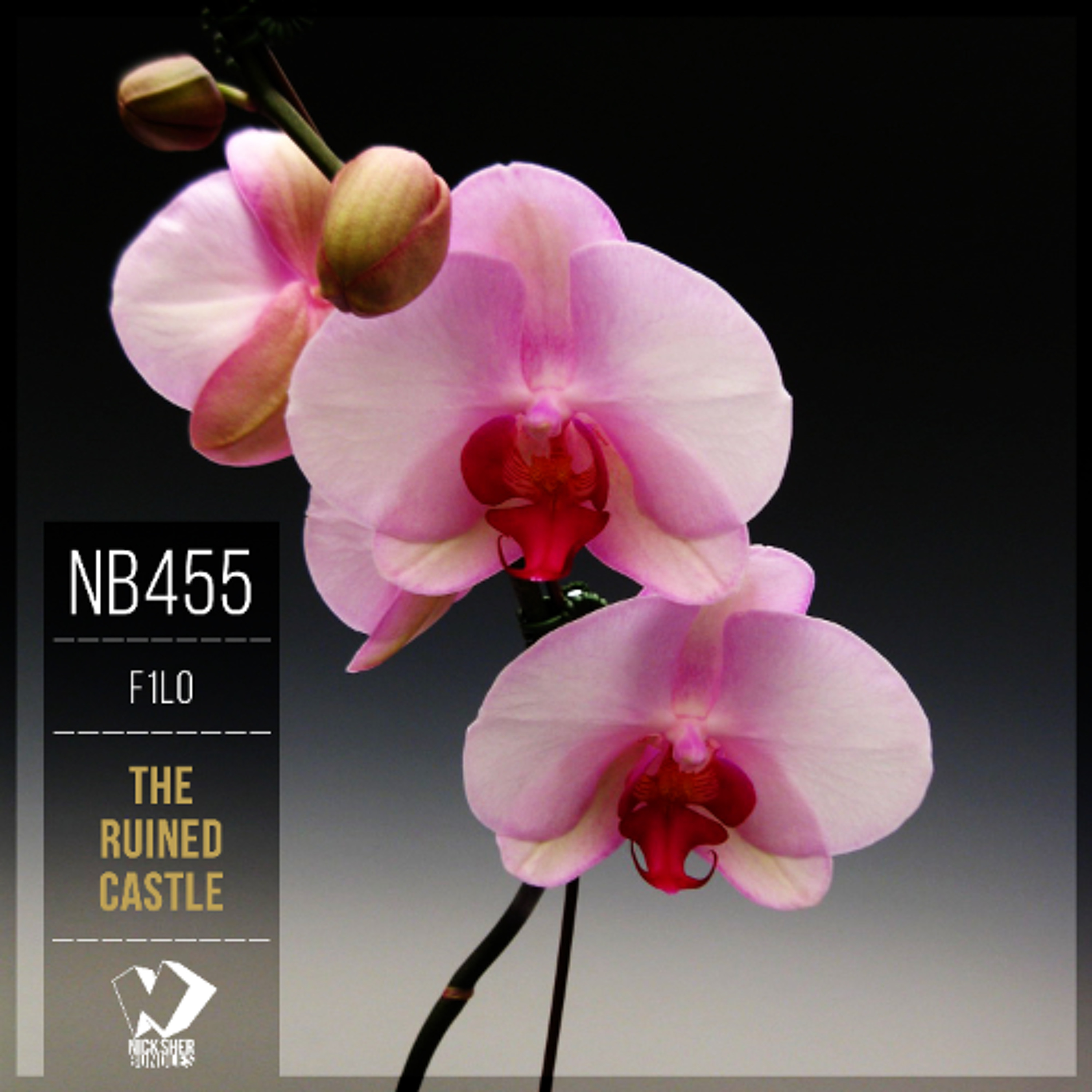 F1lo - Il Castello Rovinato (Original Mix) episode artwork