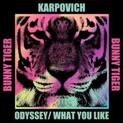KARPOVICH - What You Like [OUT NOW]