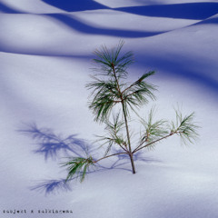 dont make no difference now (ft. sulkingemu)