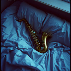 Silk Sheets