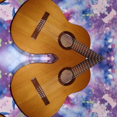 2 Guitars All - Ein