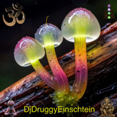 DjDruggyEinsteinMixƸ̵̡OmॐღOn LSD DMT THC (Akajani)