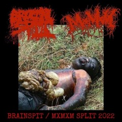 FURIOUS ROTTING SCENT OF NECROSIS RELATED CORPSE - MXMXM - TRACK FROM BRAINSPIT SPLIT