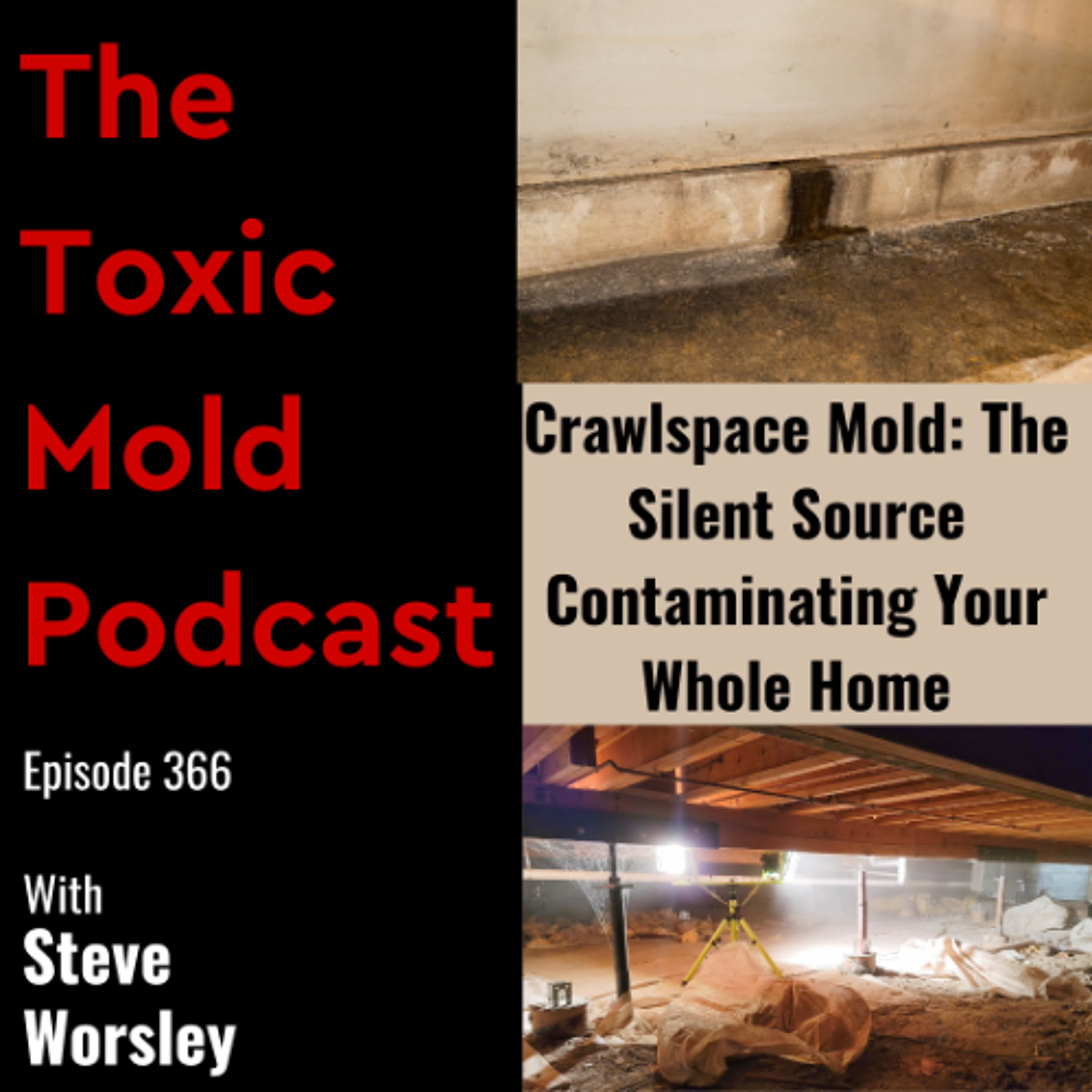 EP 366: Crawlspace Mold: The Silent Source Contaminating Your Whole Home episode artwork