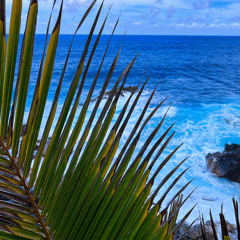 ⚬⚪︎⚫︎ forever changing ~ healing