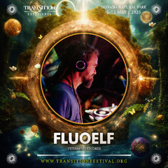 DJ Fluoelf - Transition 2025 main (journey) Aug'25 live rec